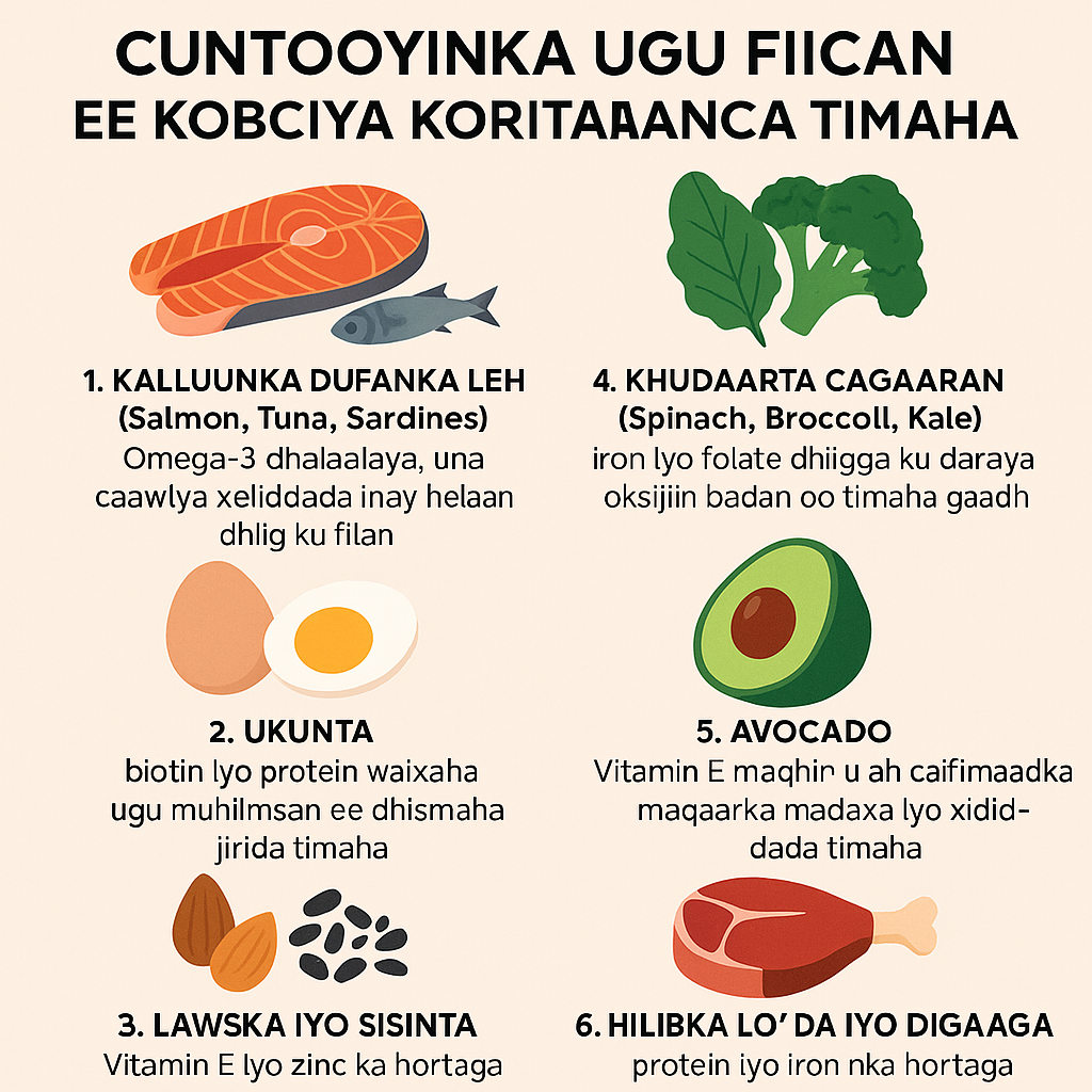 Cuntooyinka Ugu Fiican ee Kobciya Koritaanka Timaha